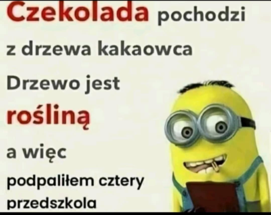 Cytat